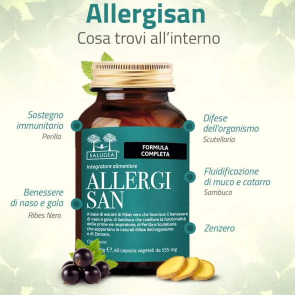 SALUGEA ALLERGISAN 60 CAPSULE