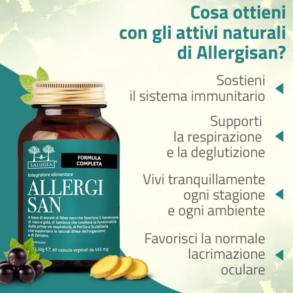 SALUGEA ALLERGISAN 60 CAPSULE