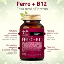 SALUGEA FERRO + B12 60 CAPSULE