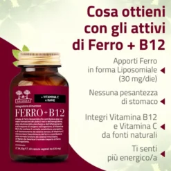 SALUGEA FERRO + B12 60 CAPSULE