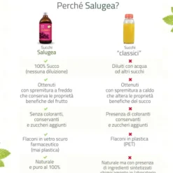 SALUGEA SUCCO CRANBERRY BIO 500 ML