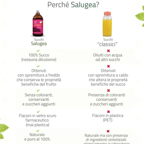 SALUGEA SUCCO CRANBERRY BIO 500 ML