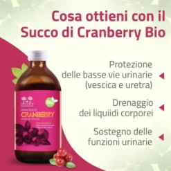 SALUGEA SUCCO CRANBERRY BIO 500 ML