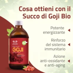 SALUGEA SUCCO GOJI BIO 500 ML