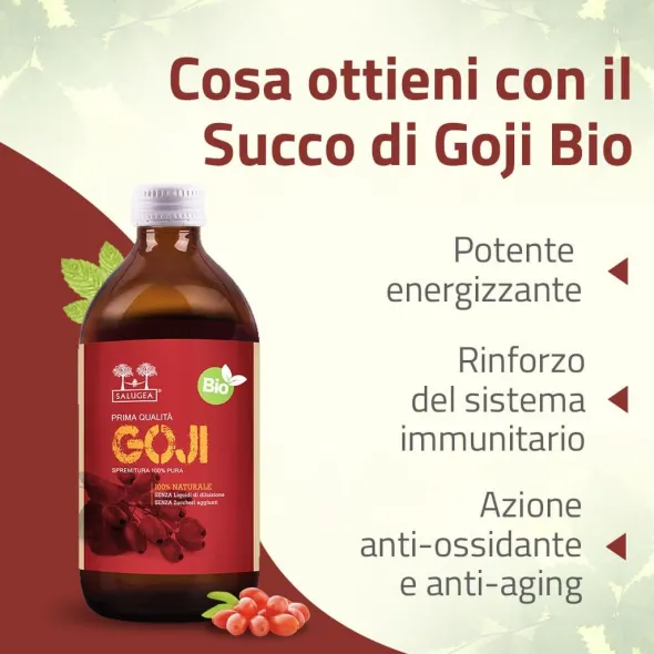 SALUGEA SUCCO GOJI BIO 500 ML