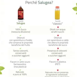SALUGEA SUCCO GOJI BIO 500 ML