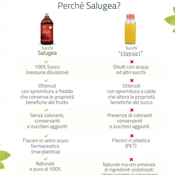 SALUGEA SUCCO GOJI BIO 500 ML