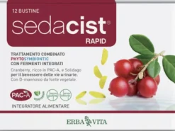SEDACIST RAPID 6 + 6 BUSTINE