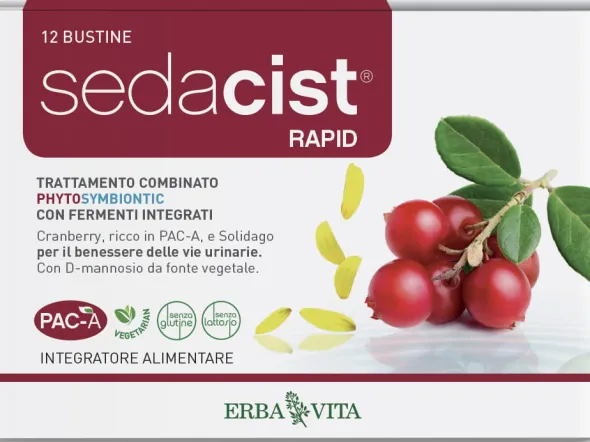 SEDACIST RAPID 6 + 6 BUSTINE