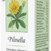 SINERGICUM PILOSELLA 50 COMPRESSE