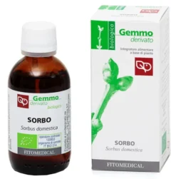 SORBO MACERATO GLICERICO 50 ML BIO