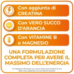 SUSTENIUM PLUS INTENSIVE FORMULA 12 BUSTINE