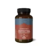 TERRANOVA BARBABIETOLA CORDYCEPS & REISHI PREWORKOUT 70 G