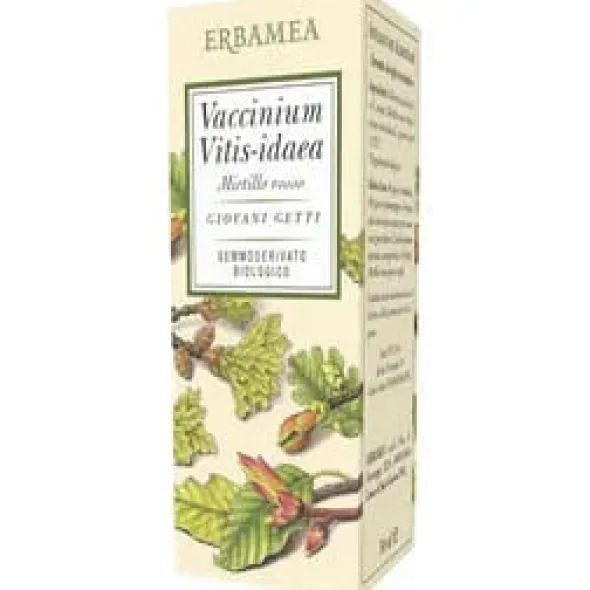 VACCINIUM VITIS IDAEA MIRTILLO ROSSO BIO 50 ML