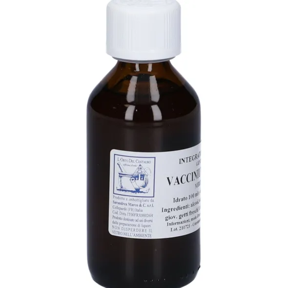 VACCINIUM VITIS/IDAEA 100 ML MACERATO GLICERICO