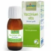 VACCINIUM VITIS MACERATO GLICERICO 60 ML