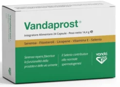 VANDAPROST 24 CAPSULE