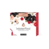 WATER FIRST DESTINAZIONE JAP 12 PEZZI 1,5 G