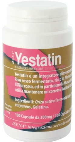 YESTATIN 100 CAPSULE